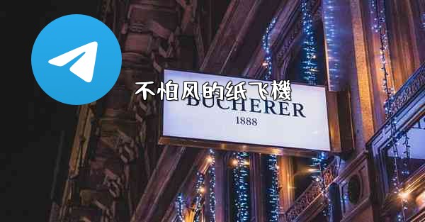 不怕风的纸飞機