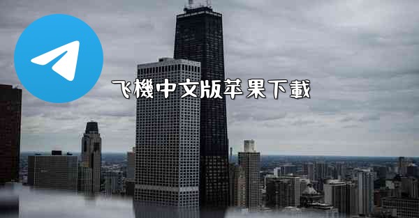 飞機中文版苹果下載