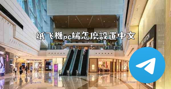 纸飞機pc端怎麼設置中文