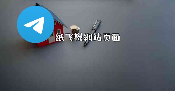 <b>纸飞機網站页面</b>