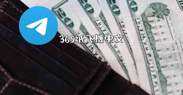 365纸飞機中文