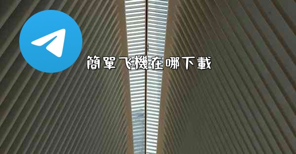 簡單飞機在哪下載