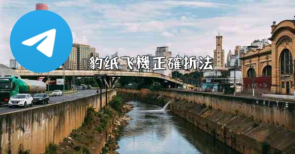 猎豹纸飞機正確折法