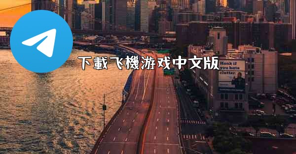 下載飞機游戏中文版