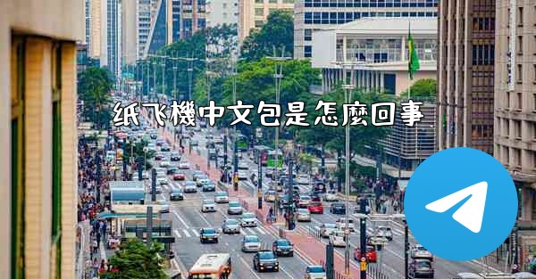 <b>纸飞機中文包是怎麼回事</b>