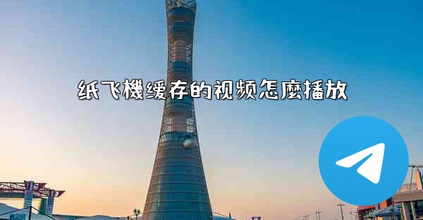 纸飞機缓存的视频怎麼播放