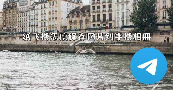纸飞機怎麼保存图片到手機相冊