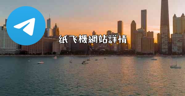 <b>纸飞機網站詳情</b>