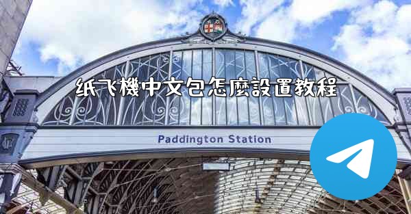 纸飞機中文包怎麼設置教程