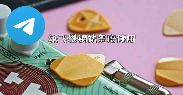 纸飞機網站怎麼使用