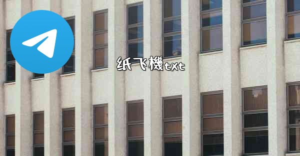 纸飞機txt