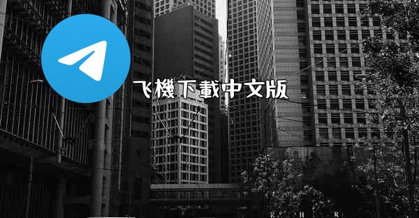 <b>飞機下載中文版</b>