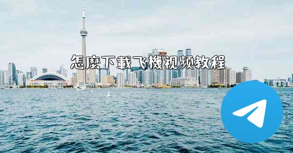 怎麼下載飞機视频教程