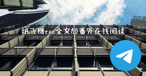 纸飞機txt全文加番外在线阅读