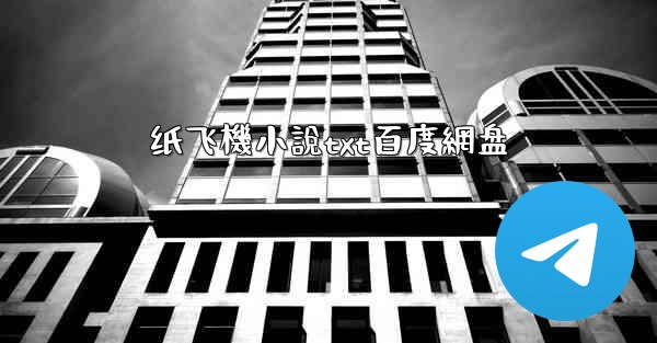 纸飞機小說txt百度網盘