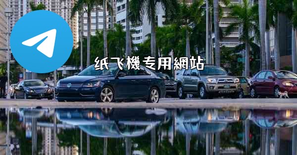 纸飞機专用網站