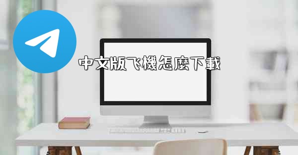 中文版飞機怎麼下載