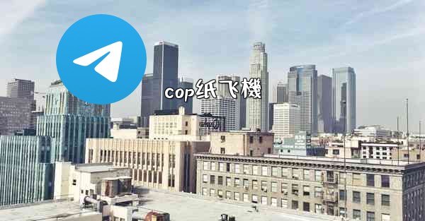 cop纸飞機