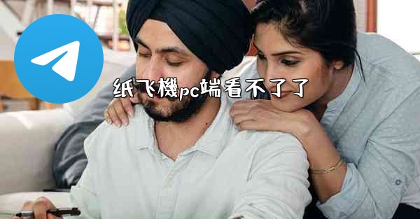 纸飞機pc端看不了了