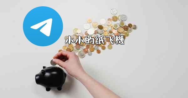 <b>小小的纸飞機</b>