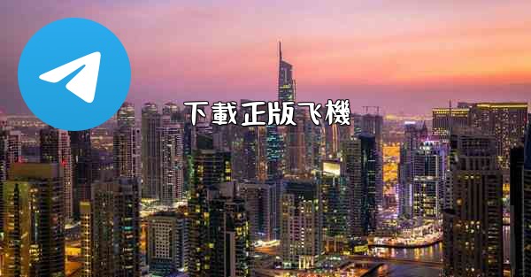 下載正版飞機