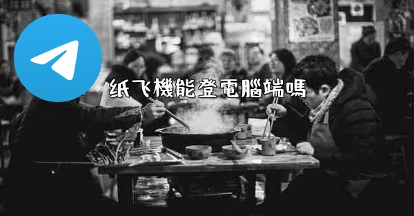 纸飞機能登電腦端嗎