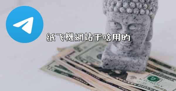 纸飞機網站干啥用的