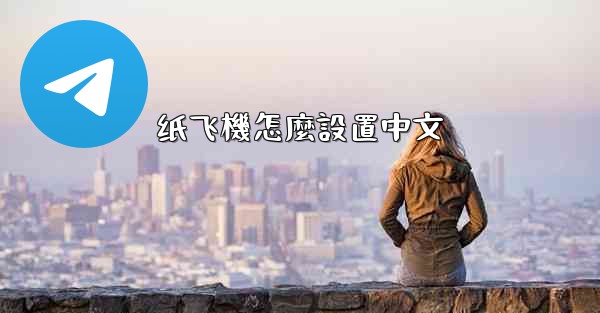 纸飞機怎麼設置中文