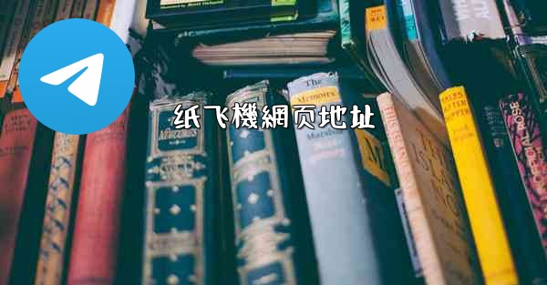 纸飞機網页地址