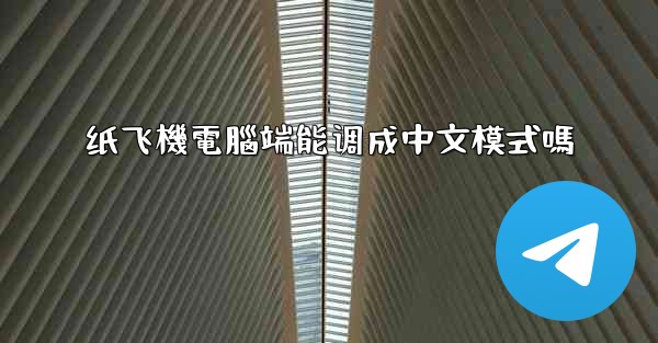 纸飞機電腦端能调成中文模式嗎