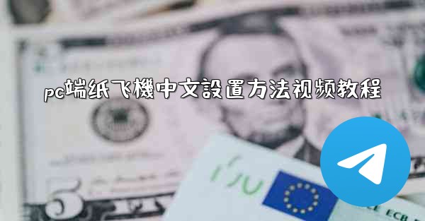 pc端纸飞機中文設置方法视频教程