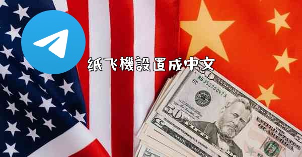 纸飞機設置成中文