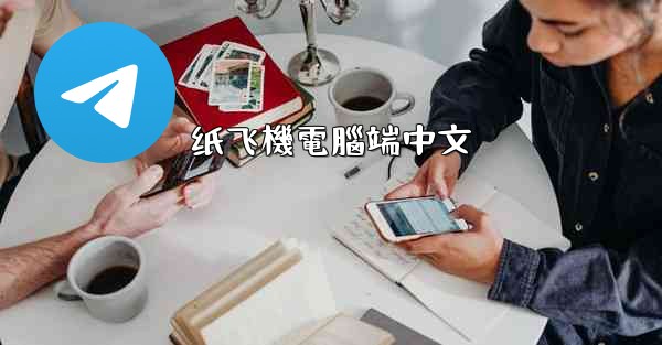 <b>纸飞機電腦端中文</b>