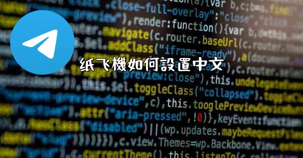 <b>纸飞機如何設置中文</b>