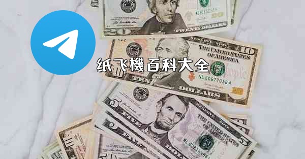 纸飞機百科大全