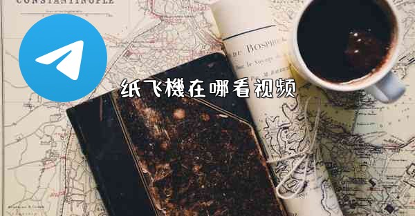 纸飞機在哪看视频