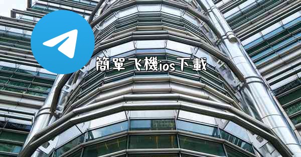 簡單飞機ios下載