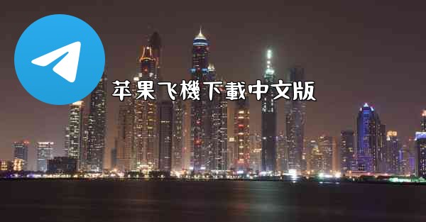 苹果飞機下載中文版