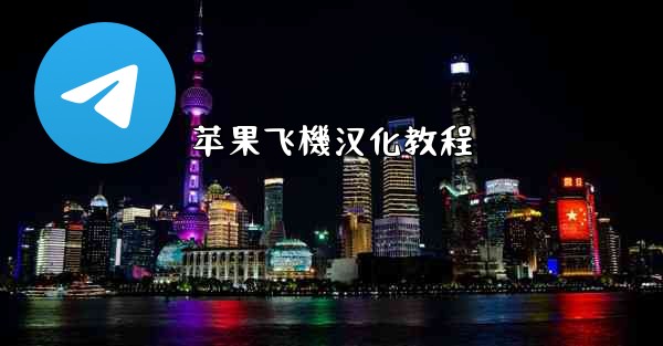 苹果飞機汉化教程