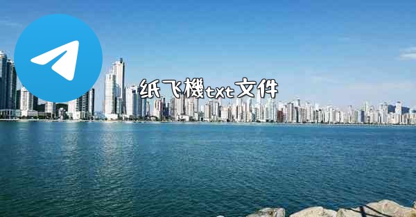纸飞機txt文件