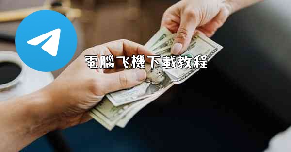 電腦飞機下載教程