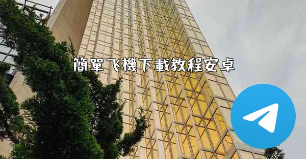 簡單飞機下載教程安卓