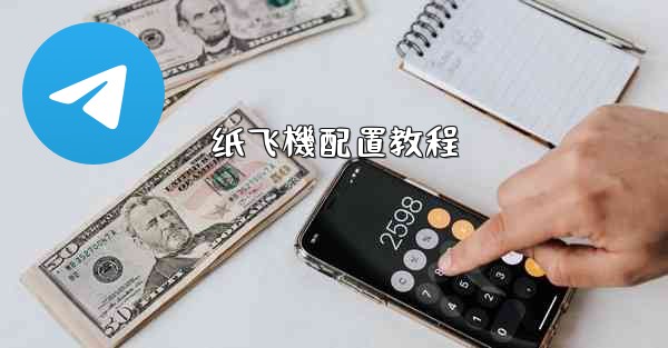 纸飞機配置教程