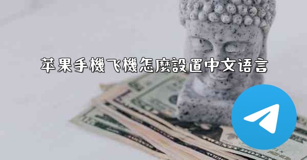 苹果手機飞機怎麼設置中文语言