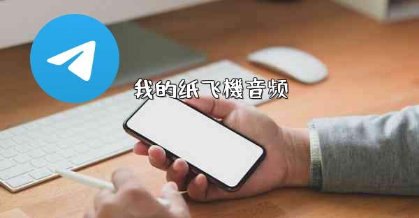 我的纸飞機音频