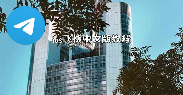 ios飞機中文版教程
