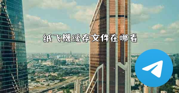 纸飞機缓存文件在哪看