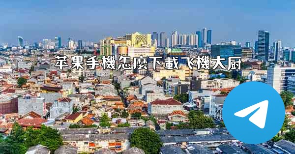 苹果手機怎麼下載飞機大厨