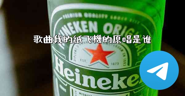 歌曲我的纸飞機的原唱是谁