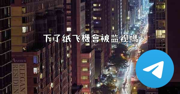 下了纸飞機會被监视嗎